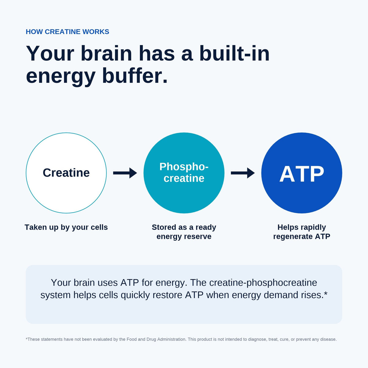 CogNative Brain Creatine Gummies